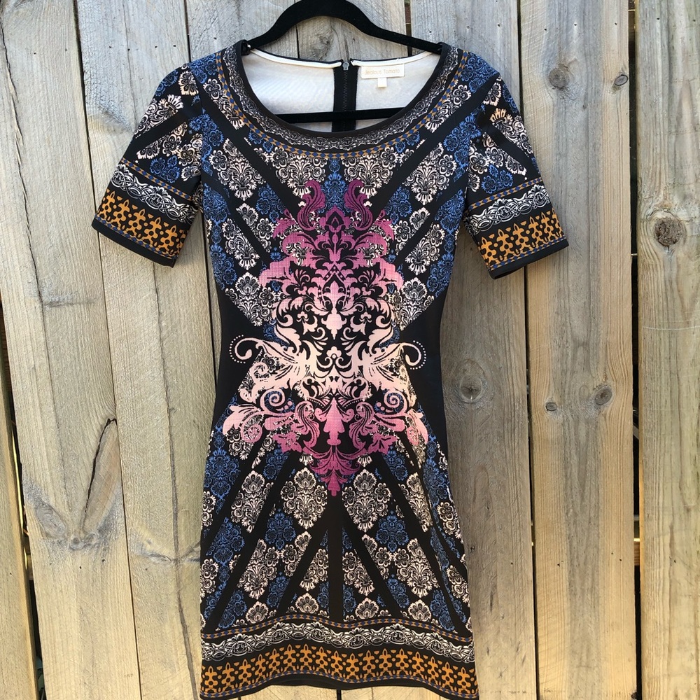 Dress - Jealous Tomato